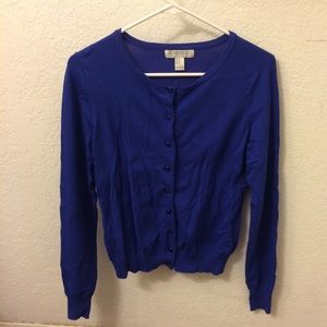 Blue Cardigan